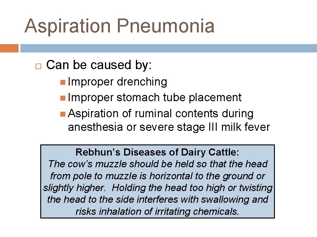 Aspiration Pneumonia Can be caused by: Improper drenching Improper stomach tube placement Aspiration of
