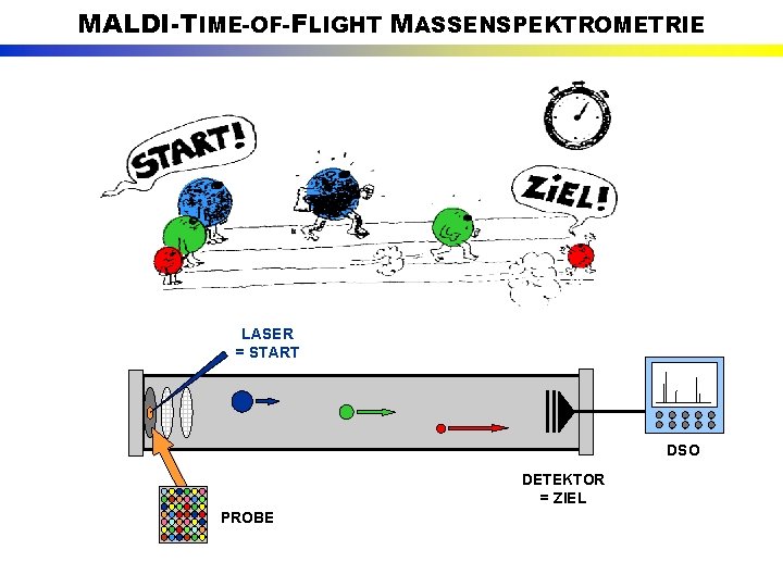 MALDI-TIME-OF-FLIGHT MASSENSPEKTROMETRIE LASER = START DSO DETEKTOR = ZIEL PROBE 