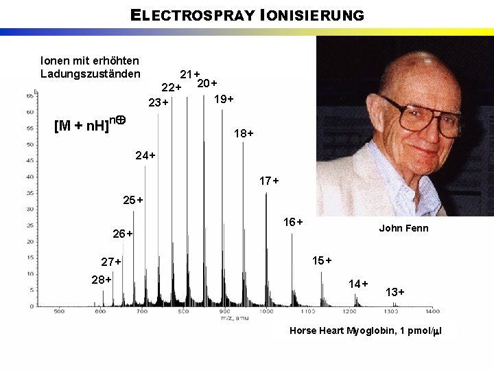 ELECTROSPRAY IONISIERUNG Ionen mit erhöhten Ladungszuständen 21+ 22+ 20+ 19+ 23+ [M + n.
