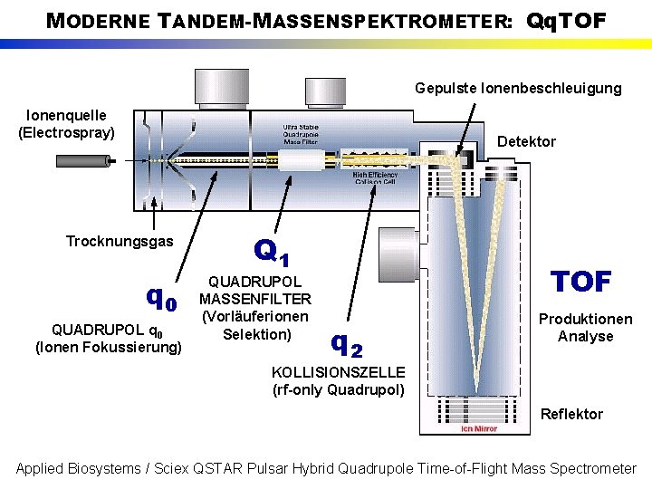 MODERNE TANDEM-MASSENSPEKTROMETER: Qq. TOF Gepulste Ionenbeschleuigung Ionenquelle (Electrospray) Detektor Trocknungsgas q 0 QUADRUPOL q