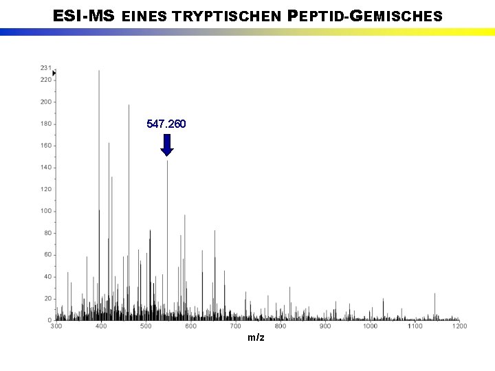 ESI-MS EINES TRYPTISCHEN PEPTID-GEMISCHES 547. 260 m/z 