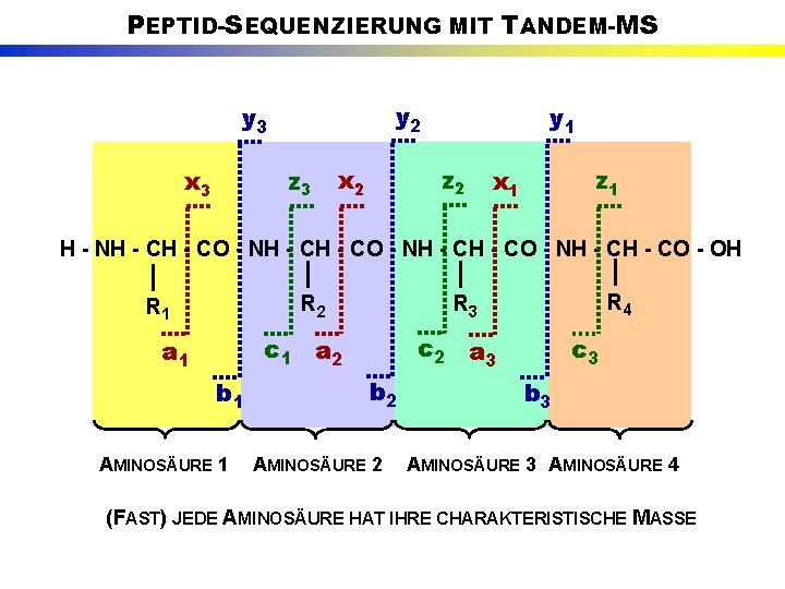 PEPTID-SEQUENZIERUNG MIT TANDEM-MS y 2 y 3 z 3 x 3 y 1 z