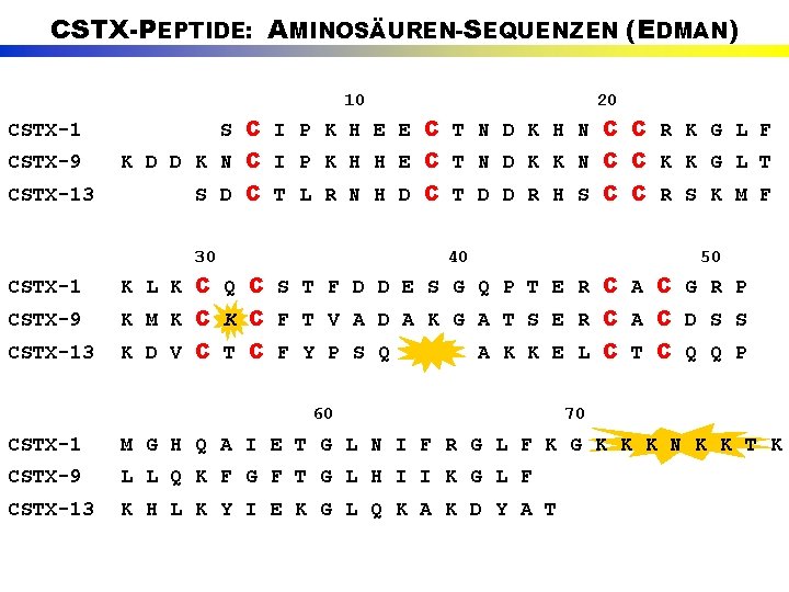 CSTX-PEPTIDE: AMINOSÄUREN-SEQUENZEN (EDMAN) 10 20 CSTX-1 S C I P K H E E