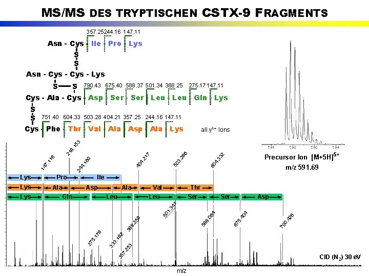 MS/MS DES TRYPTISCHEN CSTX-9 FRAGMENTS 357. 25244. 16 147. 11 Asn - Cys -