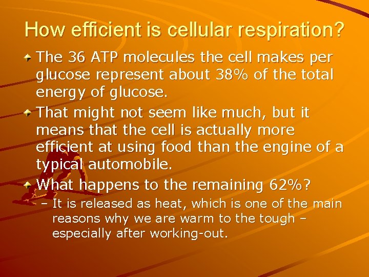 How efficient is cellular respiration? The 36 ATP molecules the cell makes per glucose