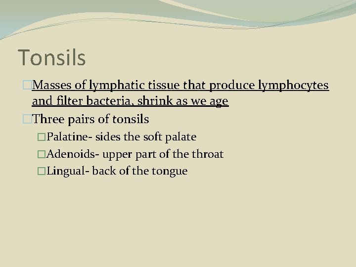 Tonsils �Masses of lymphatic tissue that produce lymphocytes and filter bacteria, shrink as we