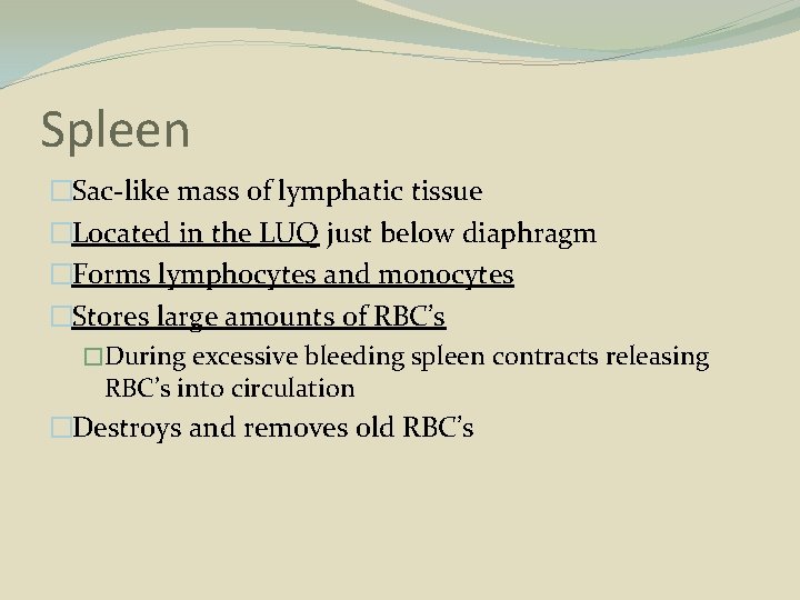 Spleen �Sac-like mass of lymphatic tissue �Located in the LUQ just below diaphragm �Forms