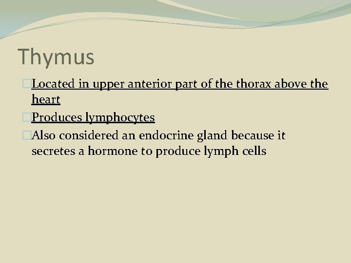 Thymus �Located in upper anterior part of the thorax above the heart �Produces lymphocytes