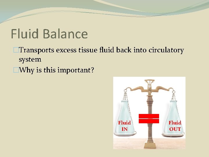 Fluid Balance �Transports excess tissue fluid back into circulatory system �Why is this important?