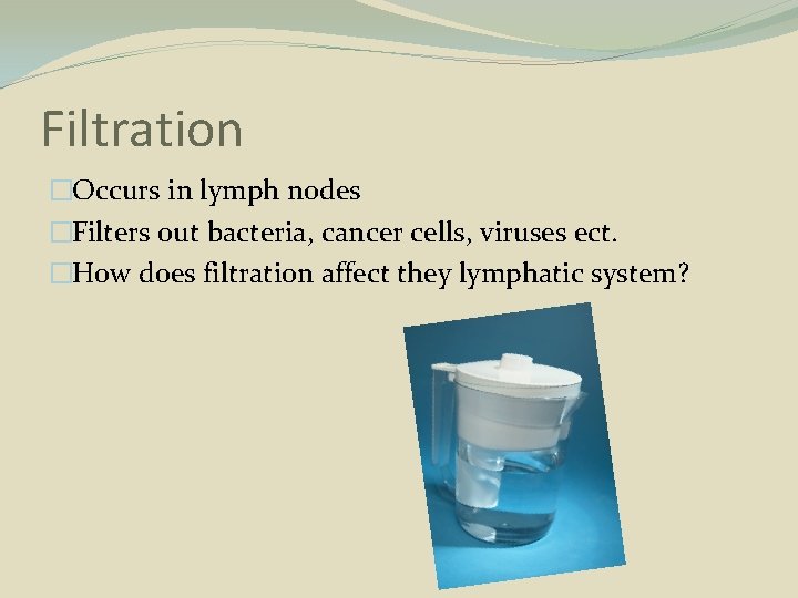 Filtration �Occurs in lymph nodes �Filters out bacteria, cancer cells, viruses ect. �How does