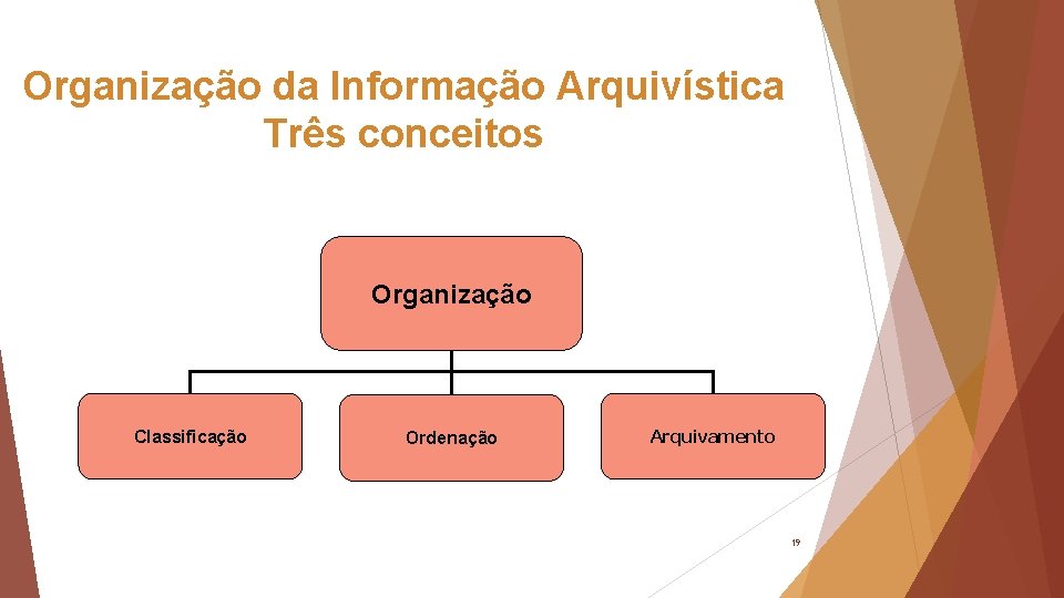 Organização da Informação Arquivística Três conceitos Organização Classificação Ordenação Arquivamento 19 