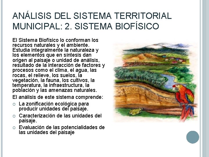 ANÁLISIS DEL SISTEMA TERRITORIAL MUNICIPAL: 2. SISTEMA BIOFÍSICO El Sistema Biofísico lo conforman los
