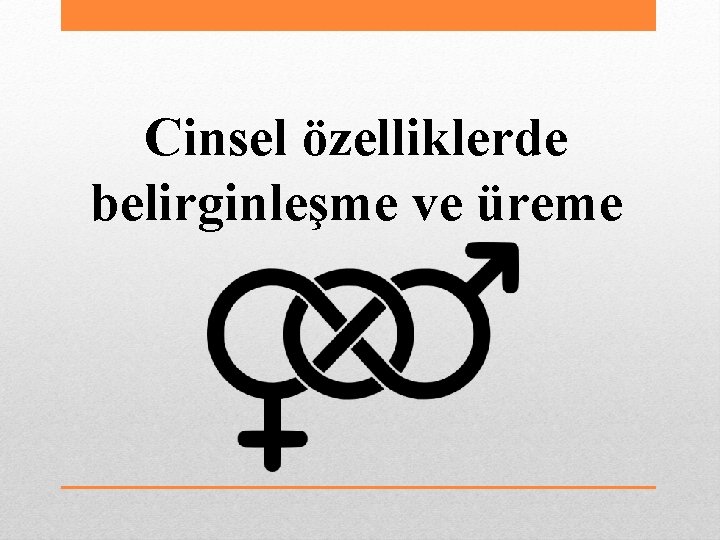 Cinsel özelliklerde belirginleşme ve üreme 