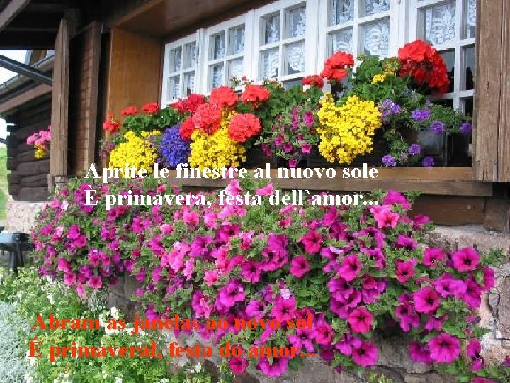 Aprite le finestre al nuovo sole È primavera, festa dell`amor. . . Abram as