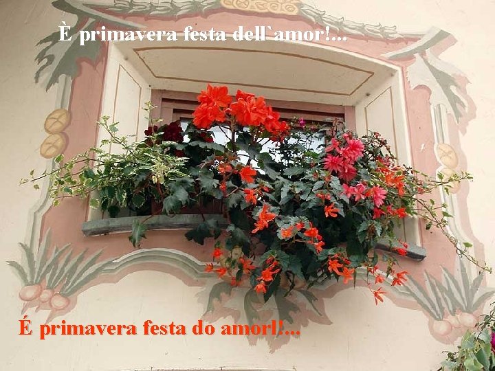 È primavera festa dell`amor!. . . É primavera festa do amorl!. . . 