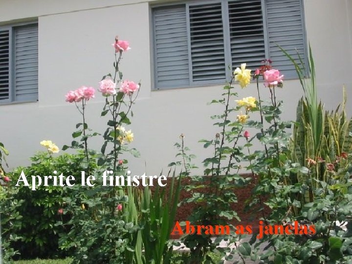 Aprite le finistre Abram as janelas 