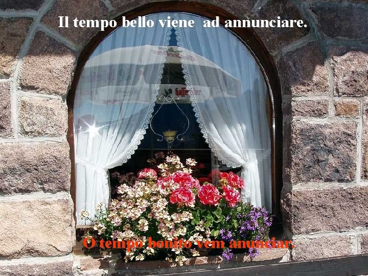 Il tempo bello viene ad annunciare. O tempo bonito vem anunciar. 