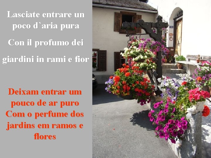 Lasciate entrare un poco d`aria pura Con il profumo dei giardini in rami e