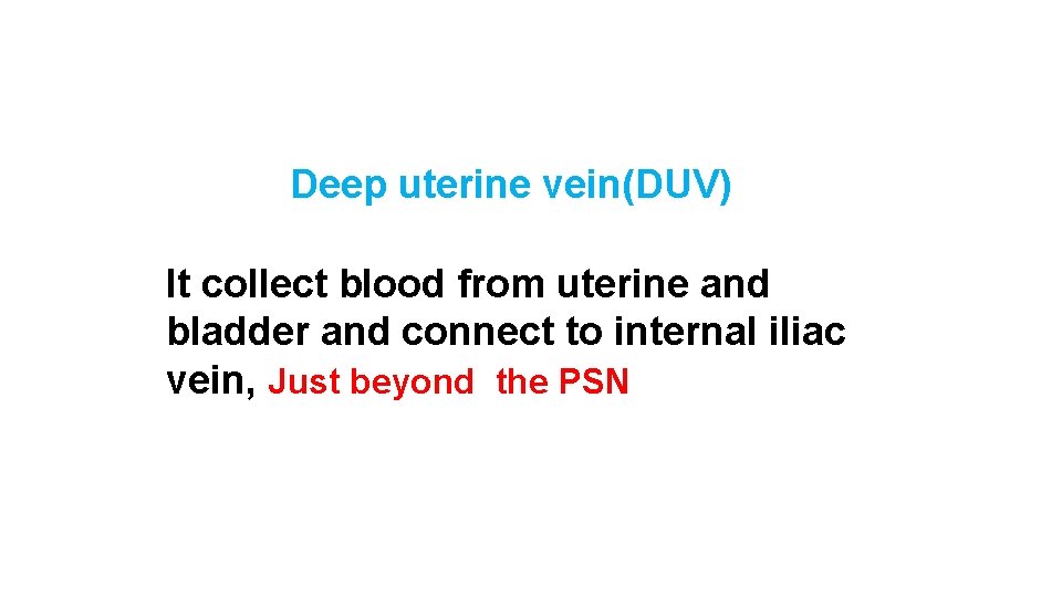 Deep uterine vein(DUV) It collect blood from uterine and bladder and connect to internal