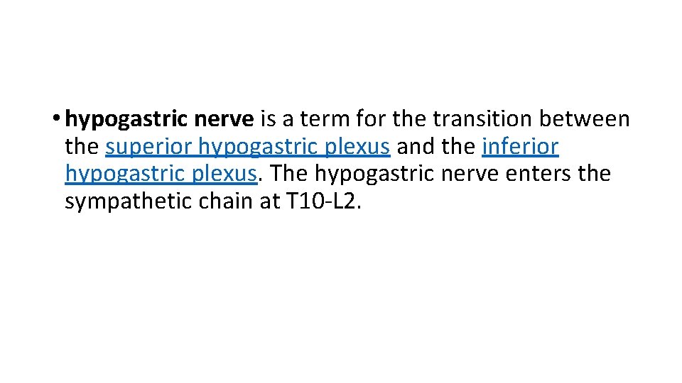  • hypogastric nerve is a term for the transition between the superior hypogastric