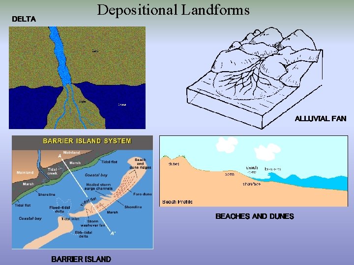 DELTA Depositional Landforms ALLUVIAL FAN BEACHES AND DUNES BARRIER ISLAND 