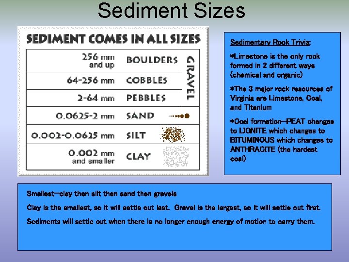 Sediment Sizes Sedimentary Rock Trivia: *Limestone is the only rock formed in 2 different