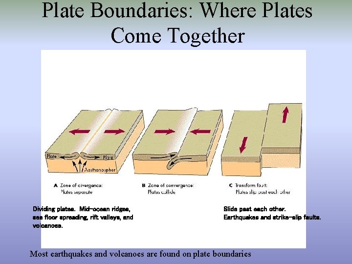 Plate Boundaries: Where Plates Come Together Dividing plates. Mid-ocean ridges, sea floor spreading, rift