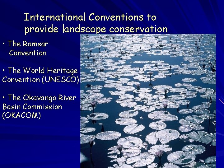 International Conventions to provide landscape conservation • The Ramsar Convention • The World Heritage International Conventions to provide landscape conservation • The Ramsar Convention • The World Heritage