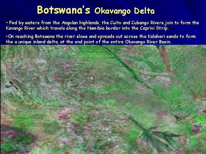 Botswana’s Okavango Delta • Fed by waters from the Angolan highlands, the Cuito and Botswana’s Okavango Delta • Fed by waters from the Angolan highlands, the Cuito and