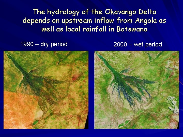 The hydrology of the Okavango Delta depends on upstream inflow from Angola as well The hydrology of the Okavango Delta depends on upstream inflow from Angola as well