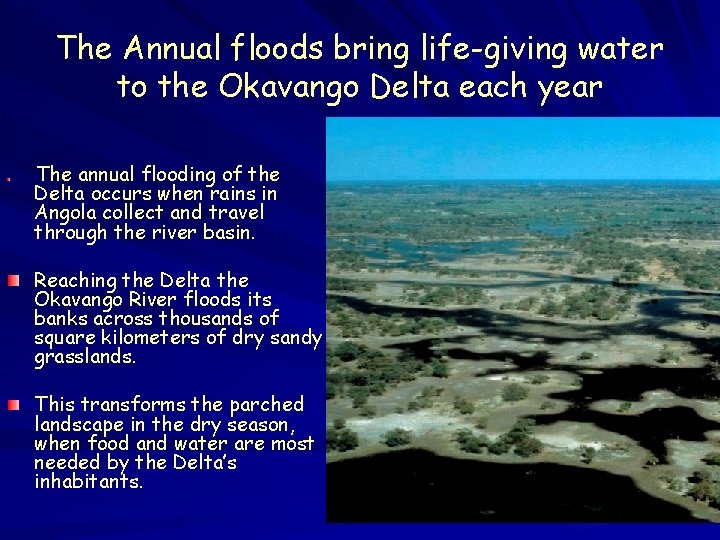 The Annual floods bring life-giving water to the Okavango Delta each year The annual The Annual floods bring life-giving water to the Okavango Delta each year The annual