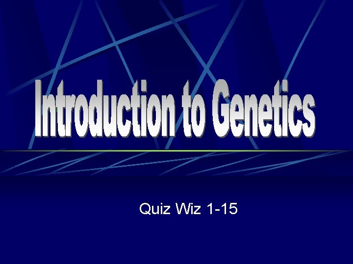 Quiz Wiz 1 -15 