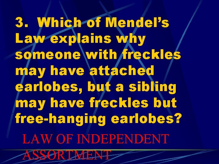 3. Which of Mendel’s Law explains why someone with freckles may have attached earlobes,