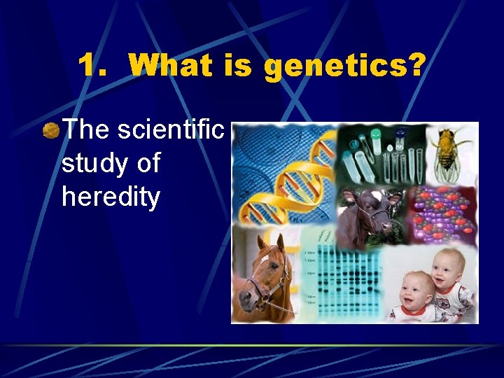 1. What is genetics? The scientific study of heredity 