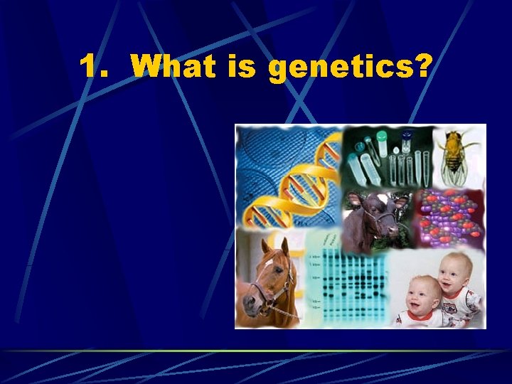 1. What is genetics? 