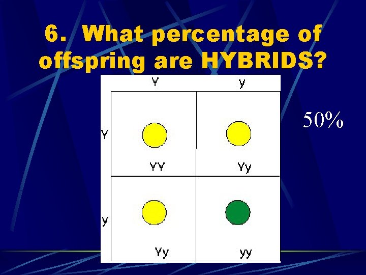 6. What percentage of offspring are HYBRIDS? 50% 