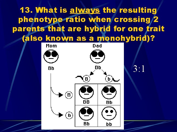 13. What is always the resulting phenotype ratio when crossing 2 parents that are