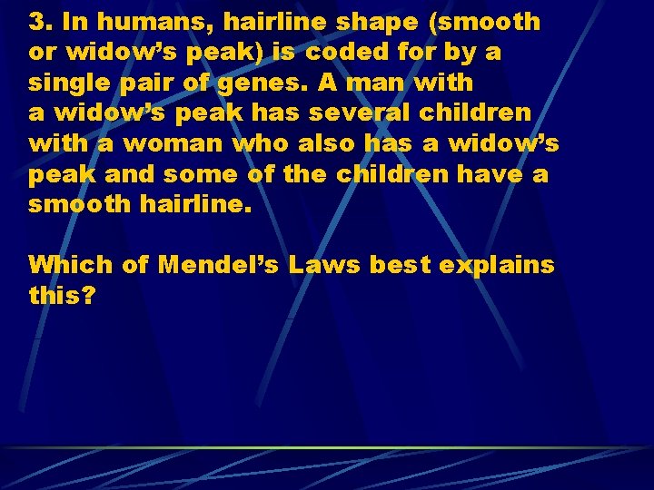 3. In humans, hairline shape (smooth or widow’s peak) is coded for by a