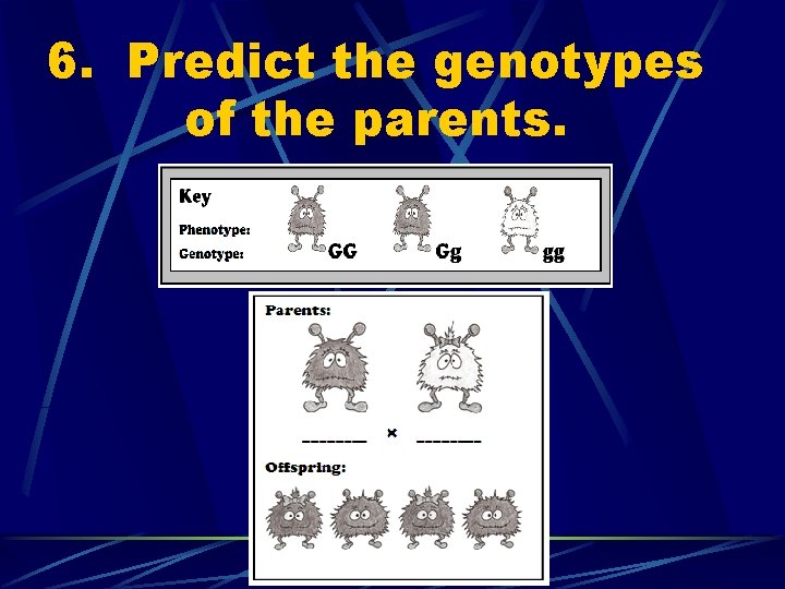 6. Predict the genotypes of the parents. 