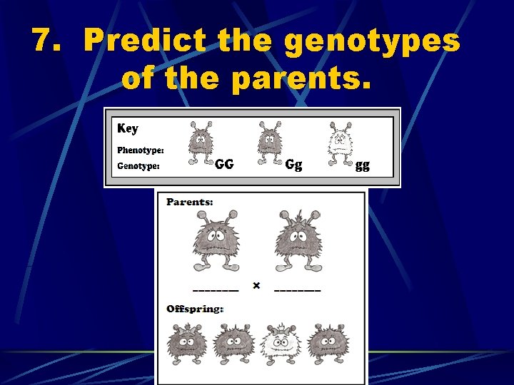 7. Predict the genotypes of the parents. 