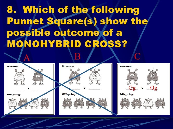 8. Which of the following Punnet Square(s) show the possible outcome of a MONOHYBRID