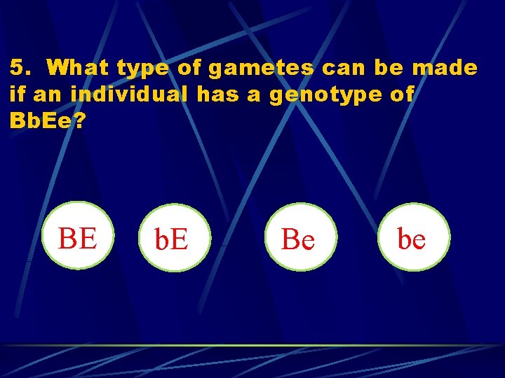 5. What type of gametes can be made if an individual has a genotype