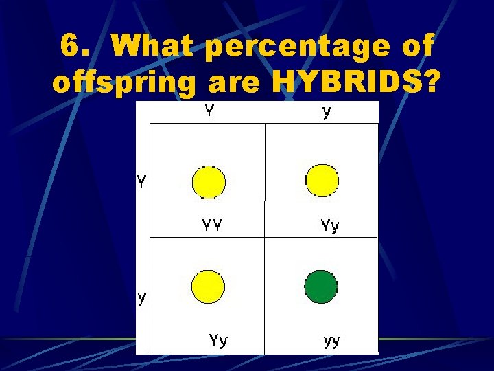 6. What percentage of offspring are HYBRIDS? 