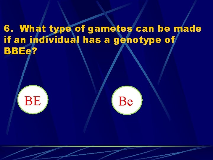 6. What type of gametes can be made if an individual has a genotype