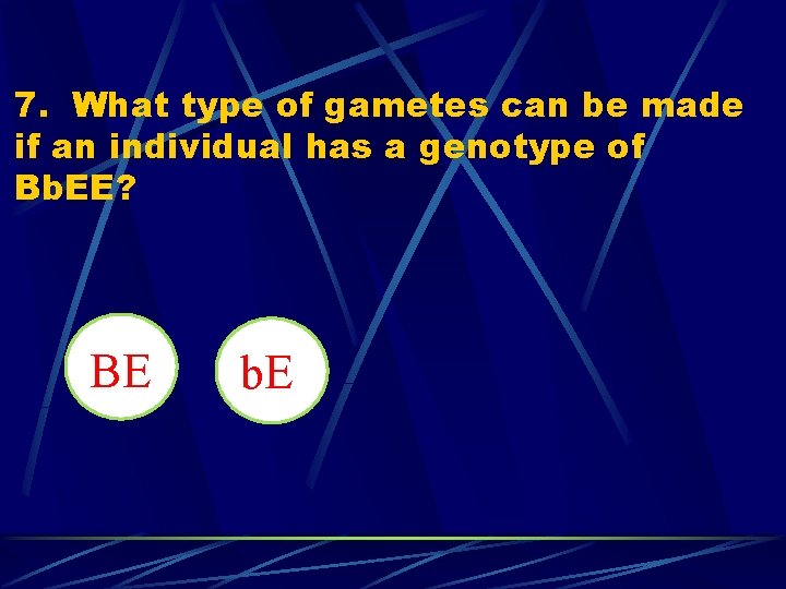 7. What type of gametes can be made if an individual has a genotype