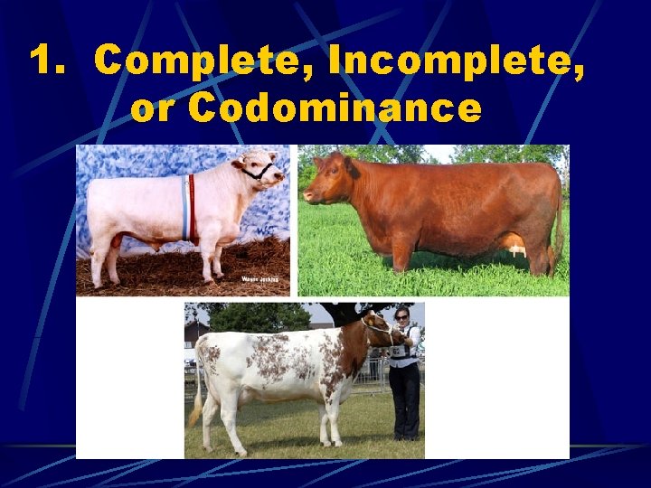1. Complete, Incomplete, or Codominance 