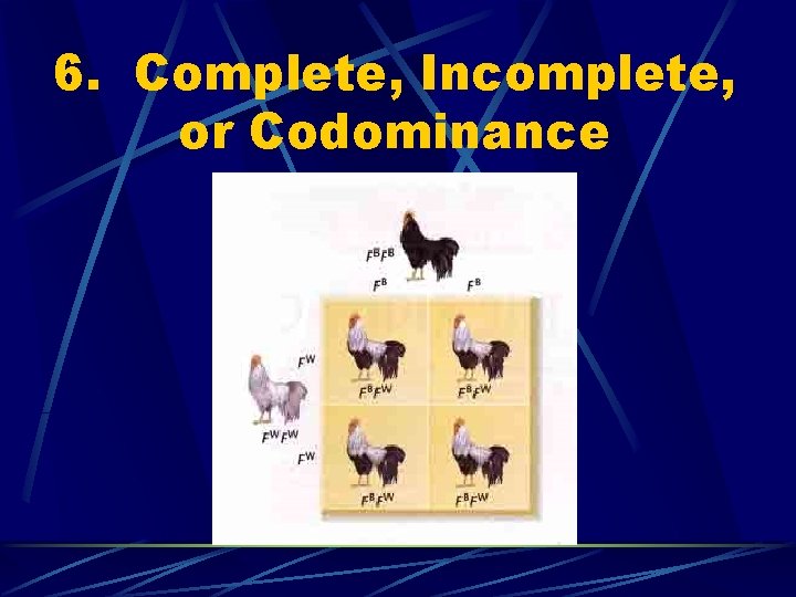 6. Complete, Incomplete, or Codominance 