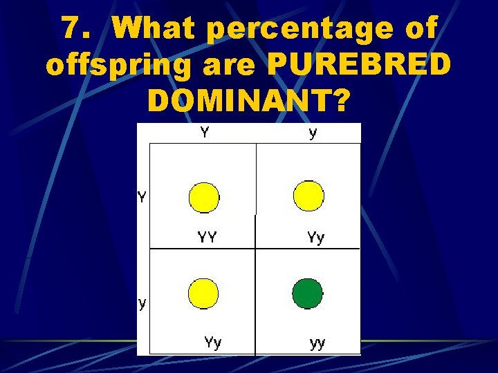 7. What percentage of offspring are PUREBRED DOMINANT? 