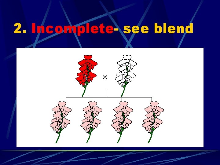 2. Incomplete- see blend 