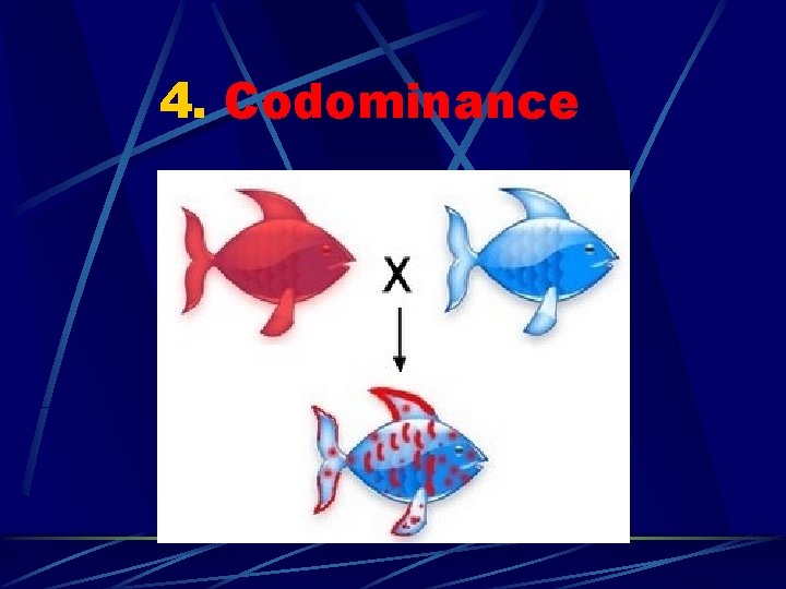 4. Codominance 